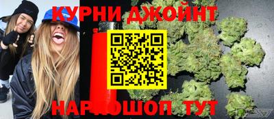 кокс Можга