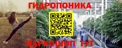 мяу мяу мука Мариинск
