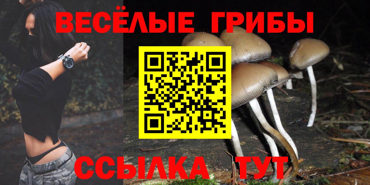 Галлюциногенные грибы Psilocybine cubensis Чайковский